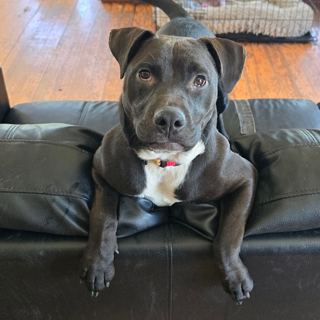 Photo of Jenny