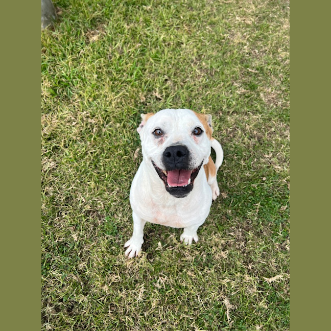 Photo of Xena