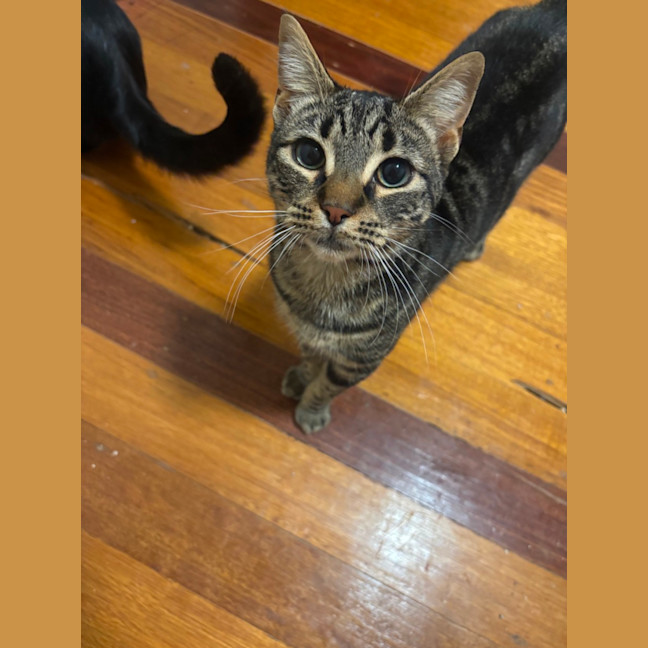 Photo of Charlie 