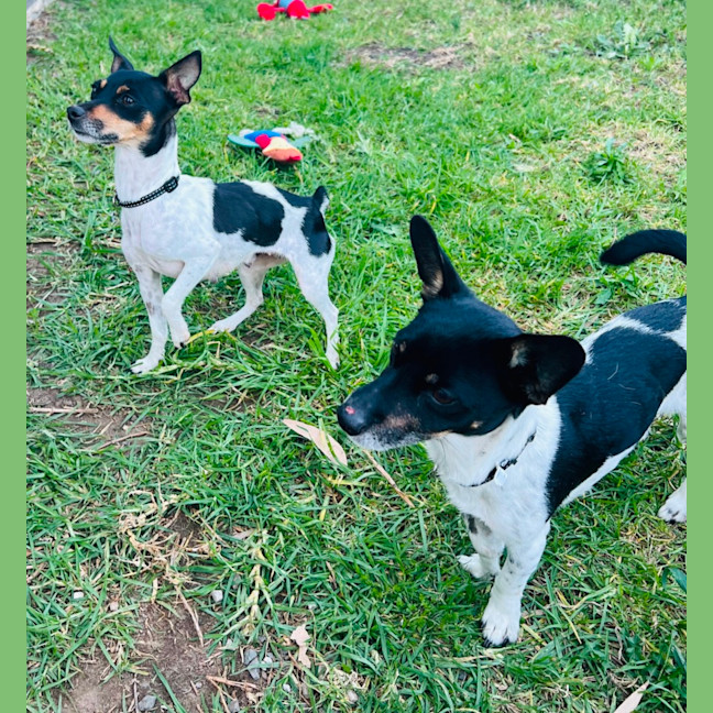 Photo of Jack And Jill 