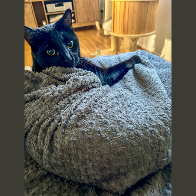Photo of Neo