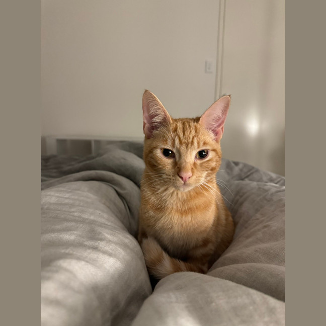 Photo of Jerry