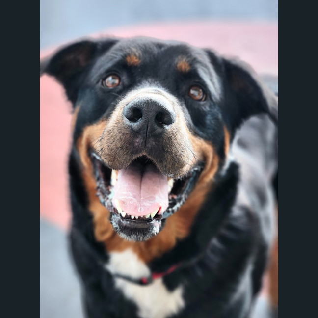 Photo of Carlos