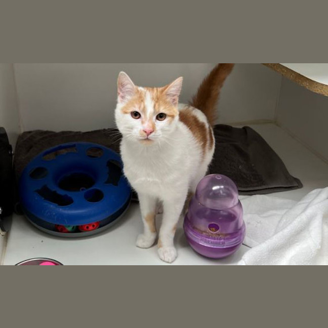Photo of Bob