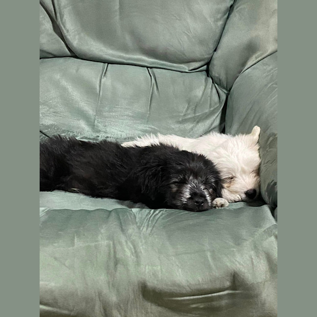 Photo of Cracker Jack