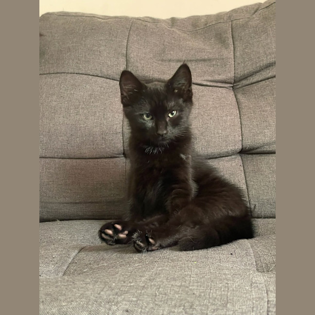Photo of Nix