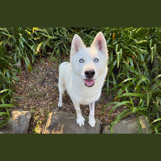 Photo of Heidi