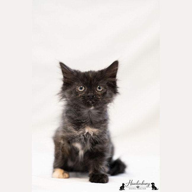 Photo of Kelsie
