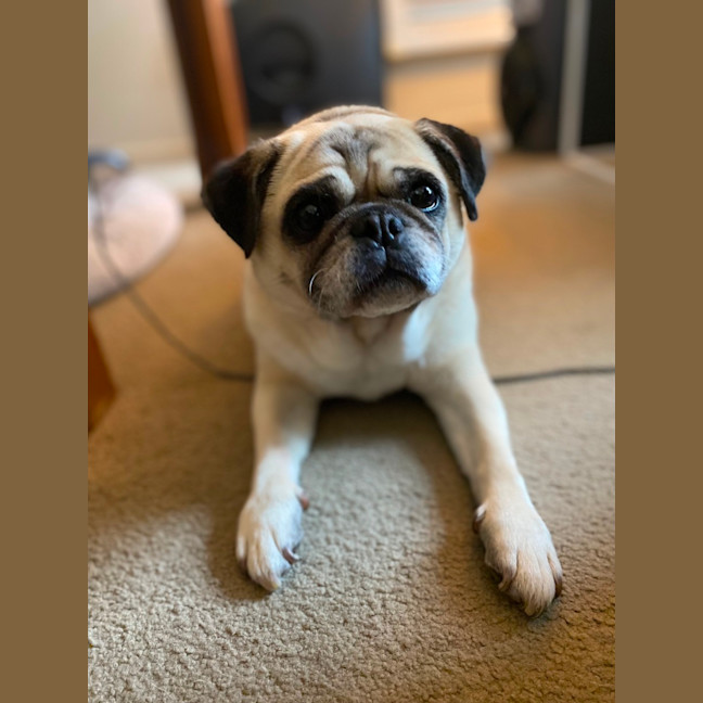 Photo of Bernie