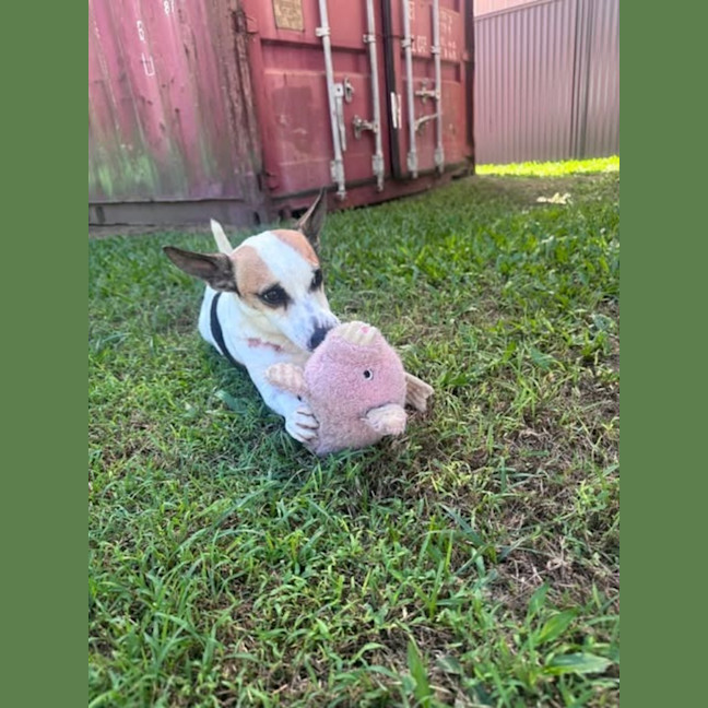 Photo of Gus