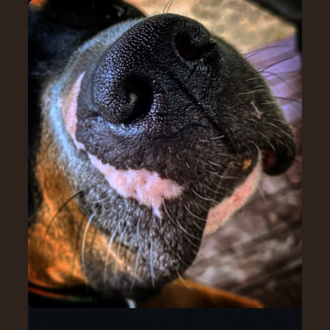 Photo of Marnie