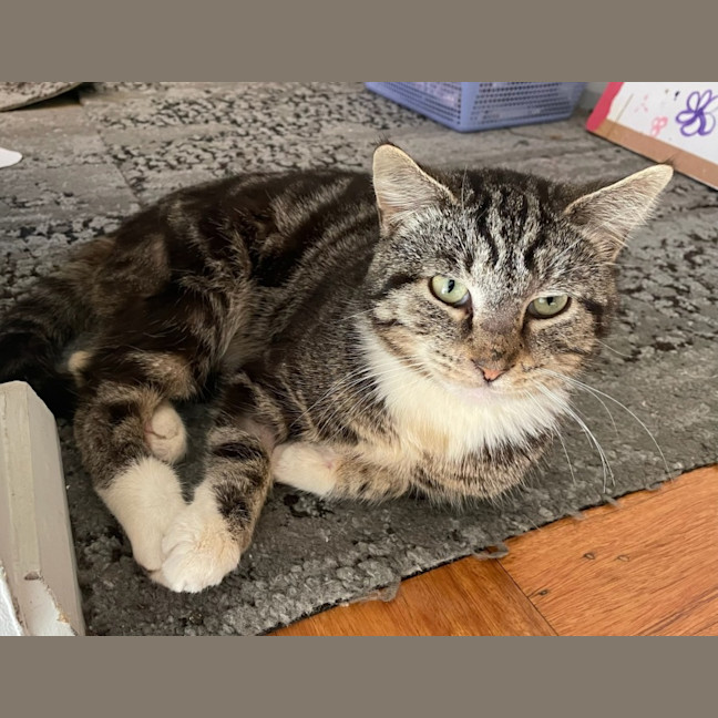 Photo of Trinket