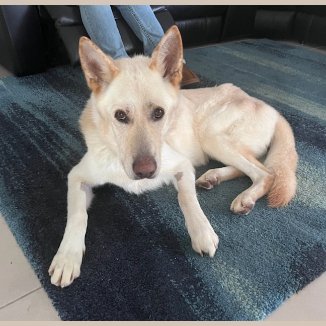Photo of Polar