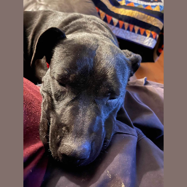 Photo of Rey