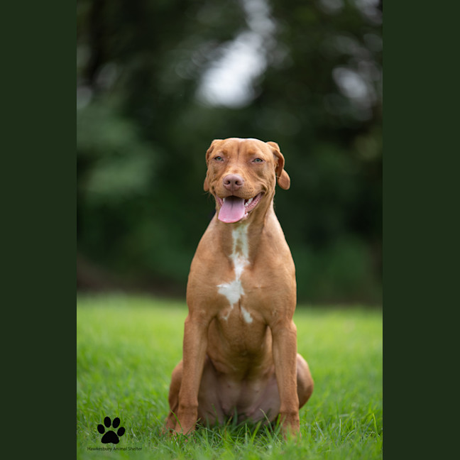 Photo of Sally
