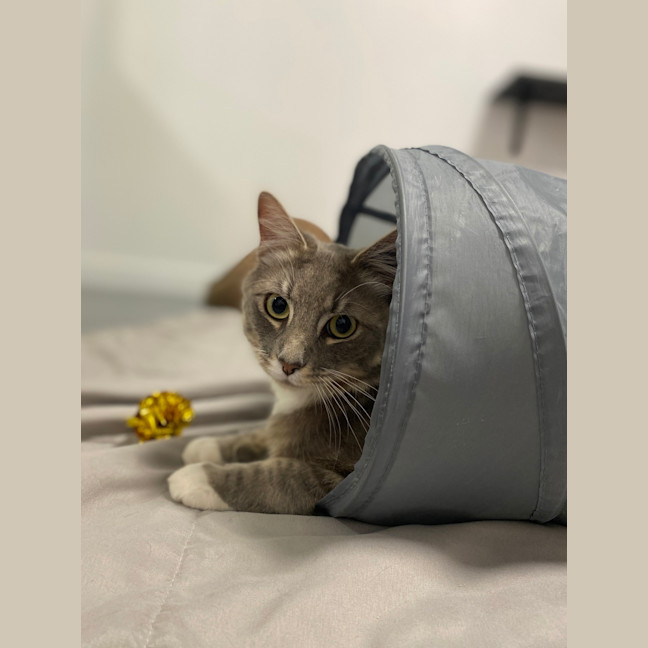 Photo of Lenny
