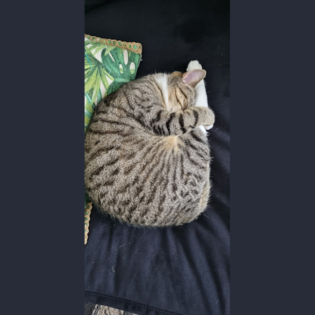 Photo of Gemma