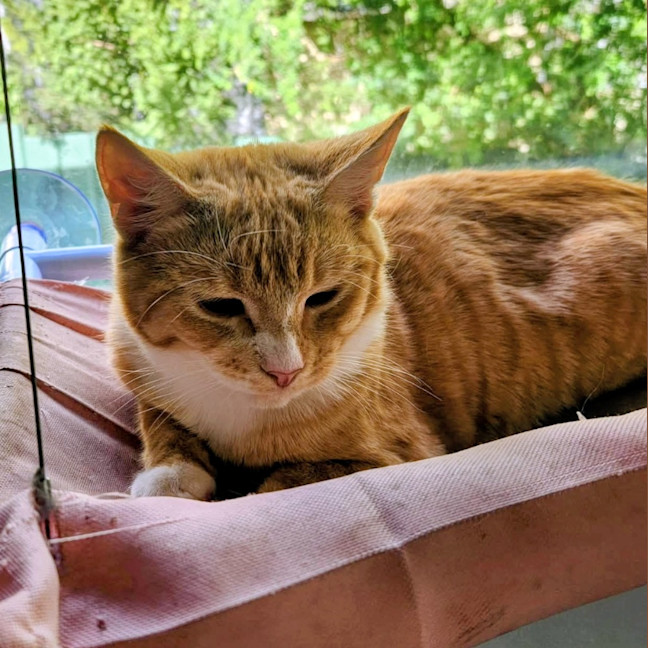 Photo of Jordan