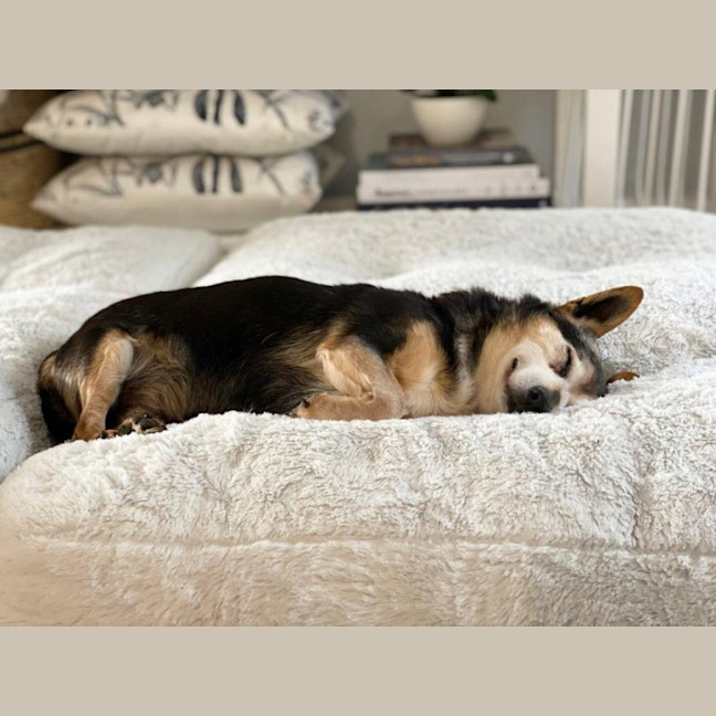 Photo of Miguel Kumara