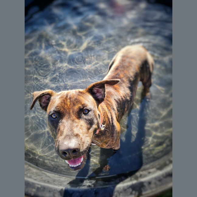 Photo of Rowena