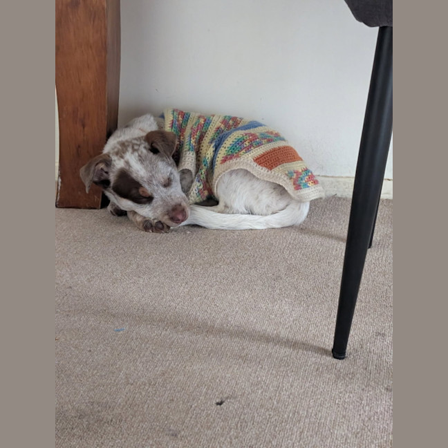 Photo of Billy