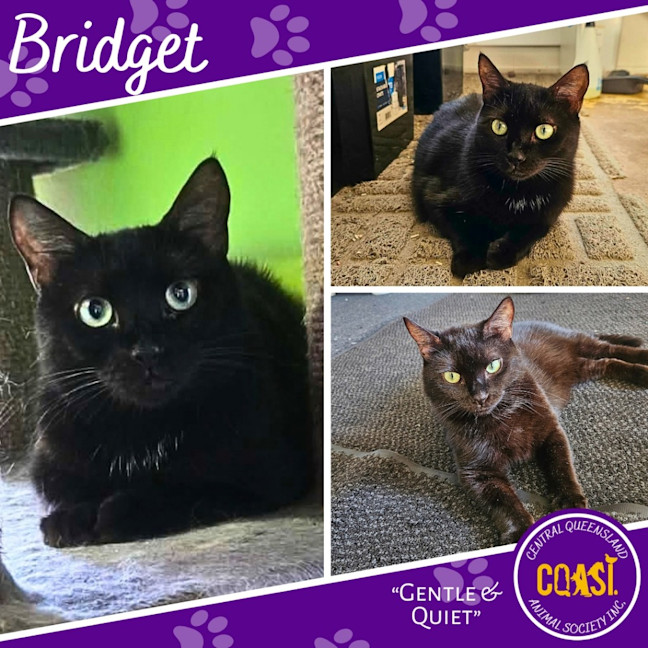 Photo of Bridget