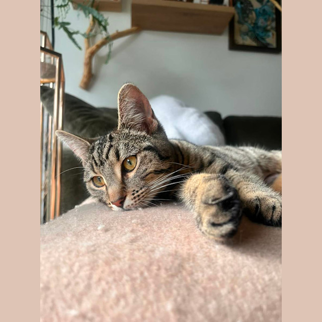 Photo of Rosie