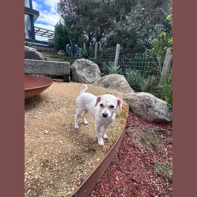 Photo of Molly