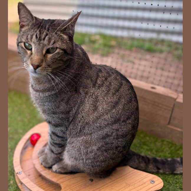 Photo of Oliver