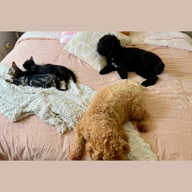 Photo of Asha & Kiki