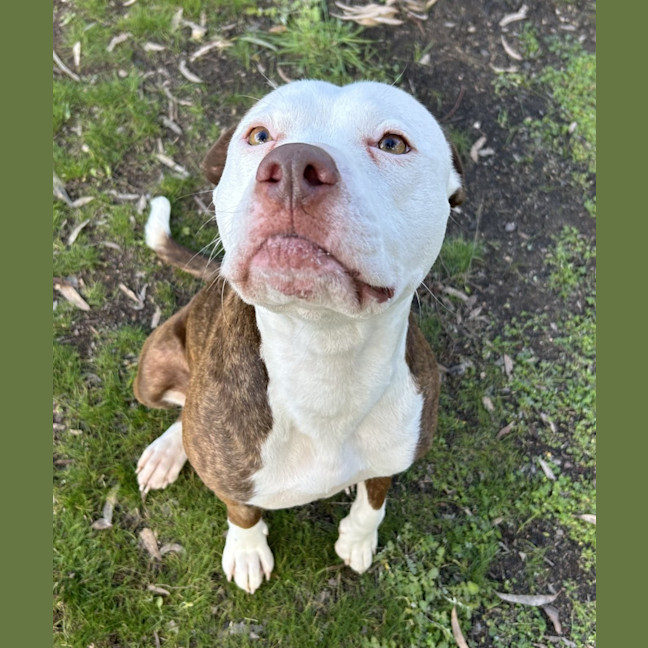 Photo of Ruby