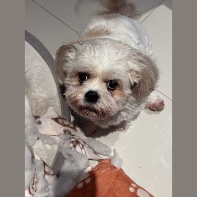 Photo of Evie