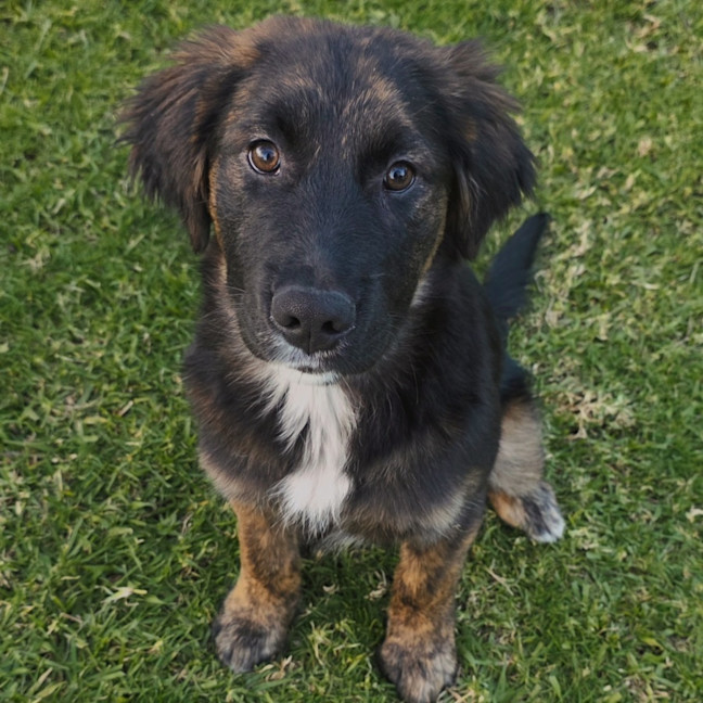 Photo of Maze