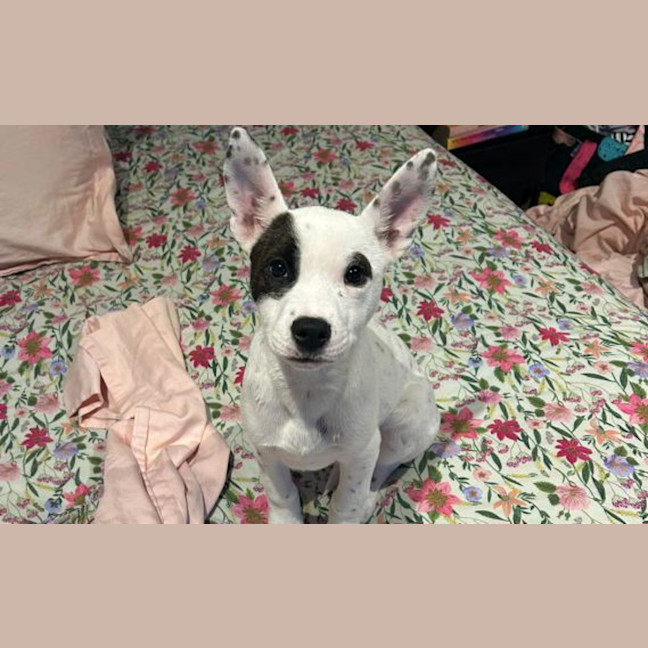 Photo of Wilma 