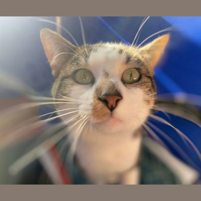 Photo of Mr Squeaker