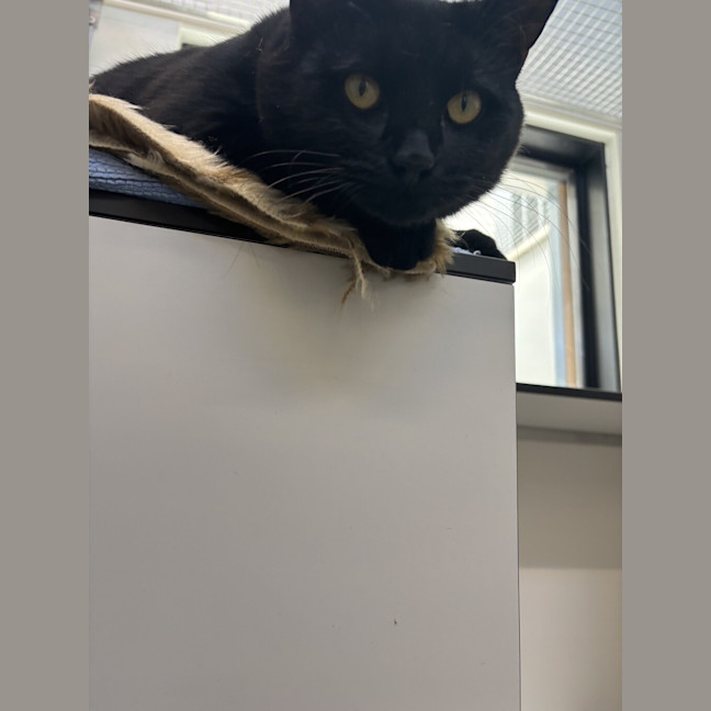 Photo of Tom