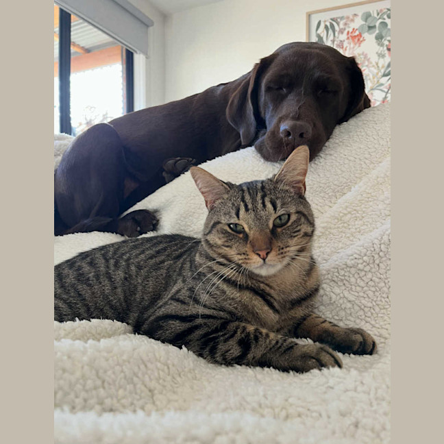Photo of Mr Maple