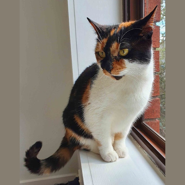 Photo of Queen Mimmi