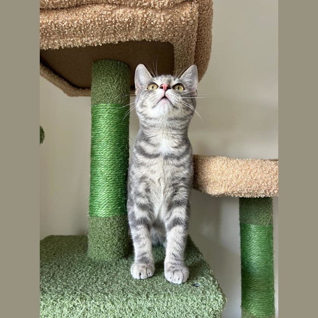Photo of Maya 💫