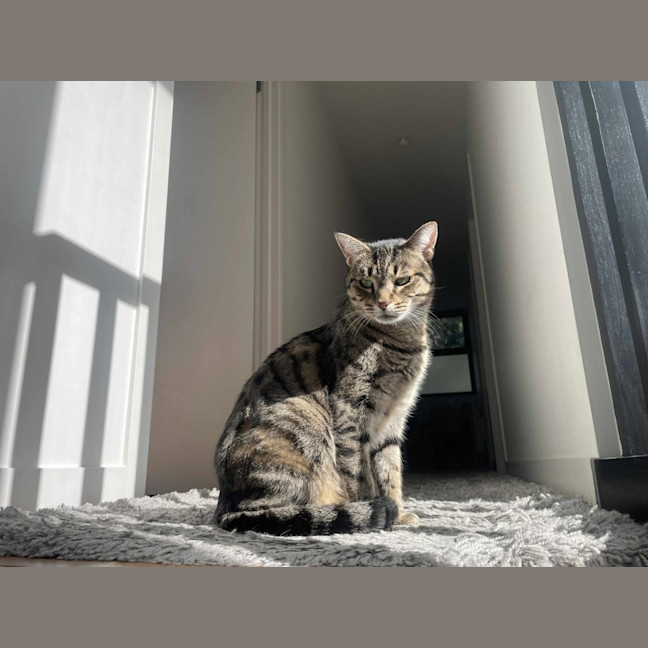 Photo of Suzie   Located In Macleod