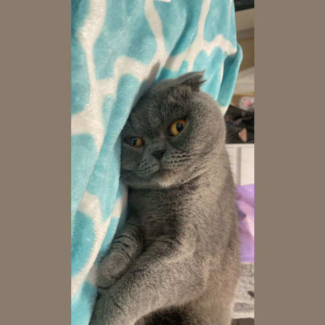 Photo of Tessa