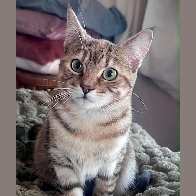 Photo of Florence