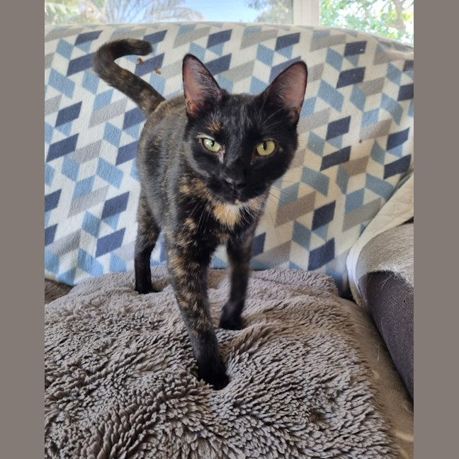 Photo of Mae