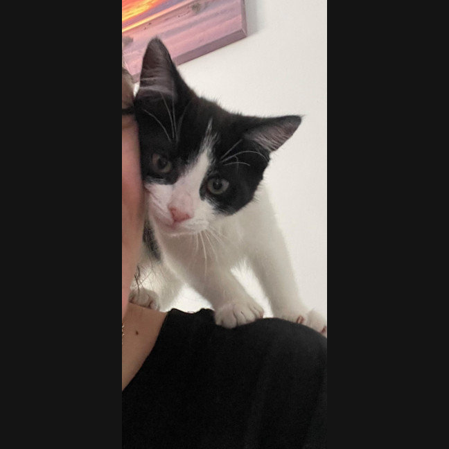 Photo of Penelope