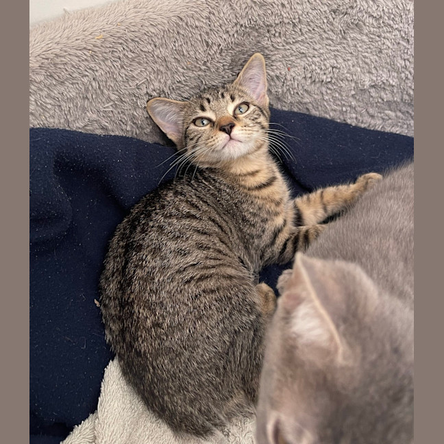 Photo of Lily