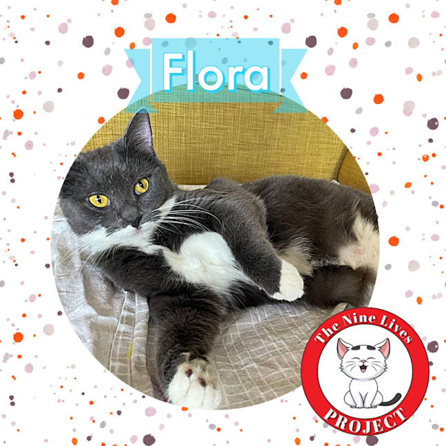 Photo of Flora *9 Lives Project Rescue*