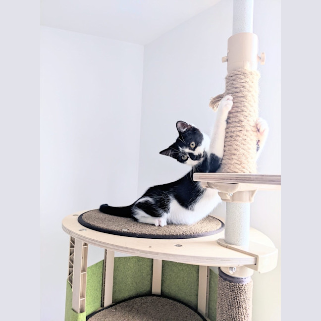 Photo of Bruce