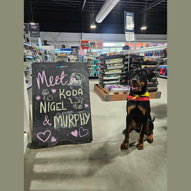 Photo of Murphy