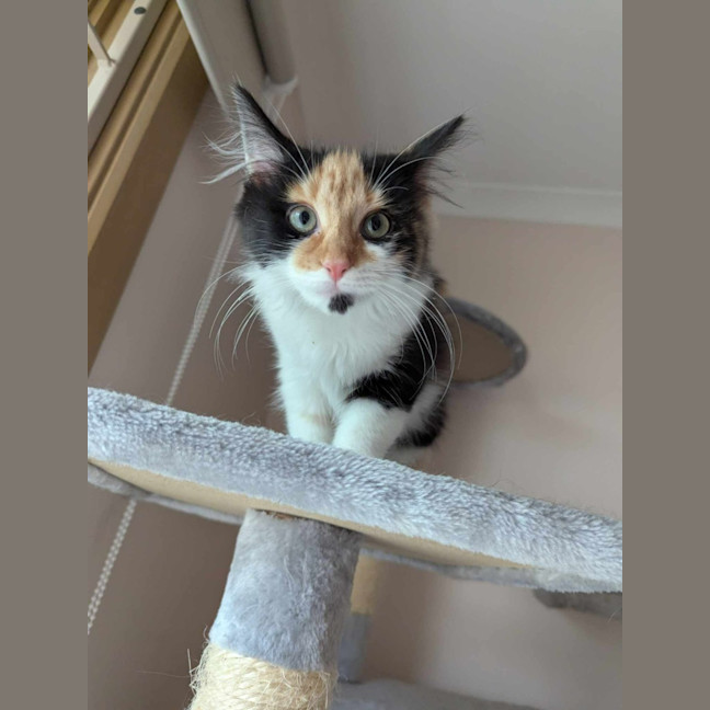 Photo of Wilma Flintstone 