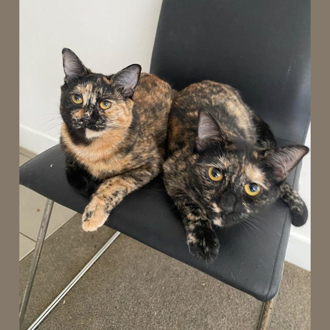 Photo of Carmen & Sheila